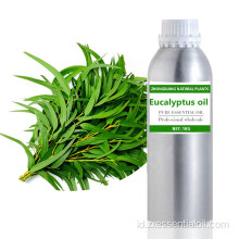 Pasokan pabrik 100% minyak esensial Eucalyptus globulus Murni